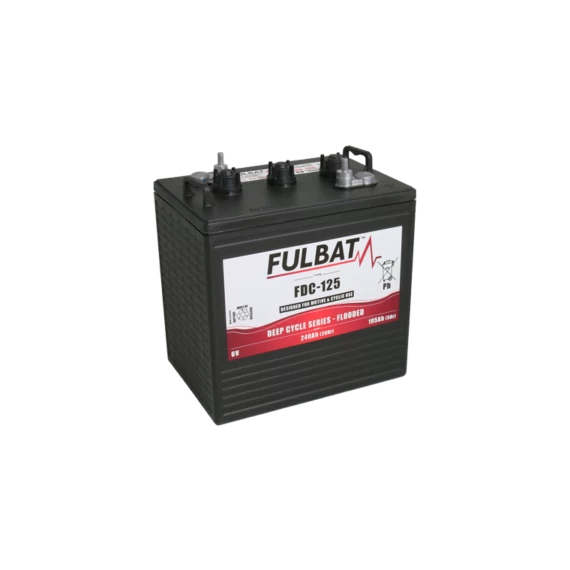 FULBAT Deep Cycle 6V C5/195Ah C20/240Ah